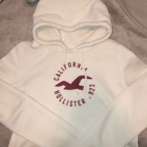 Hollister sweater
